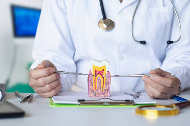Best Pediatric Emergency Dentist in Ely, MN